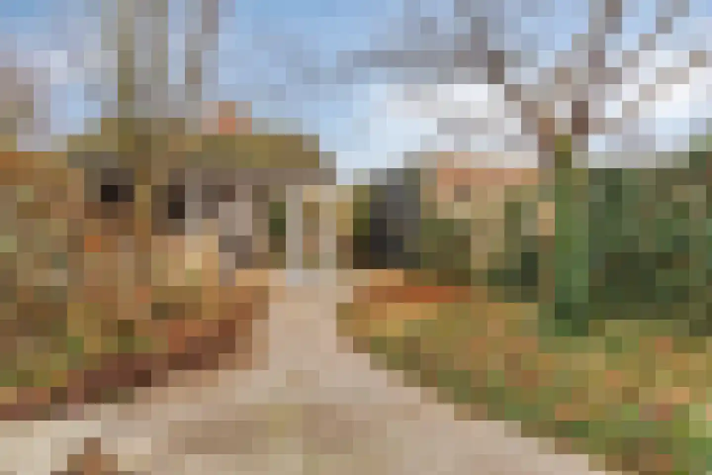Hescheweg 103 Oss thumbnail 29