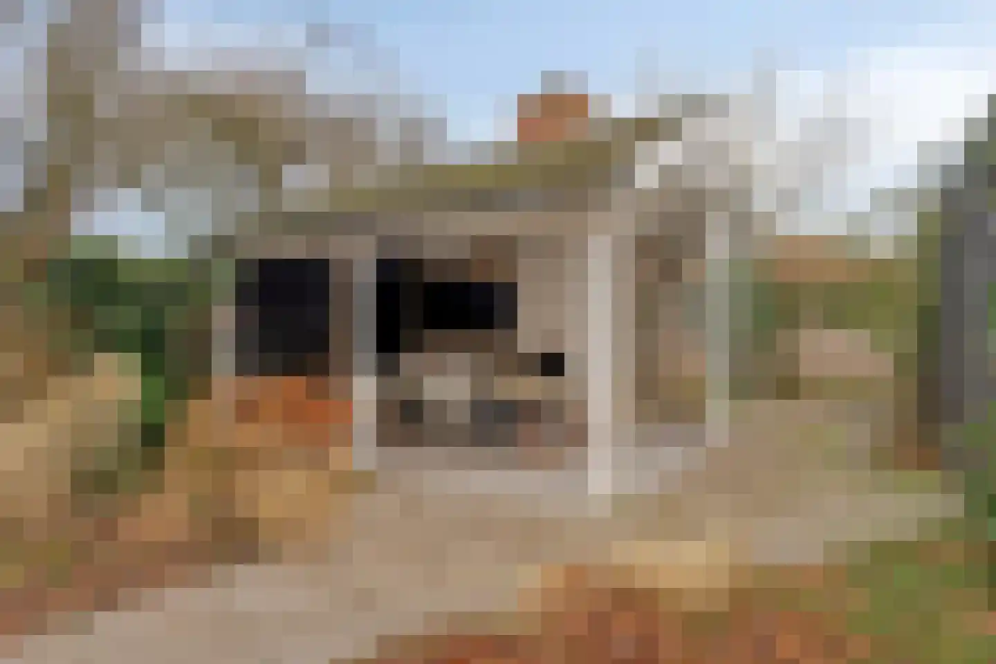 Hescheweg 103 Oss thumbnail 30