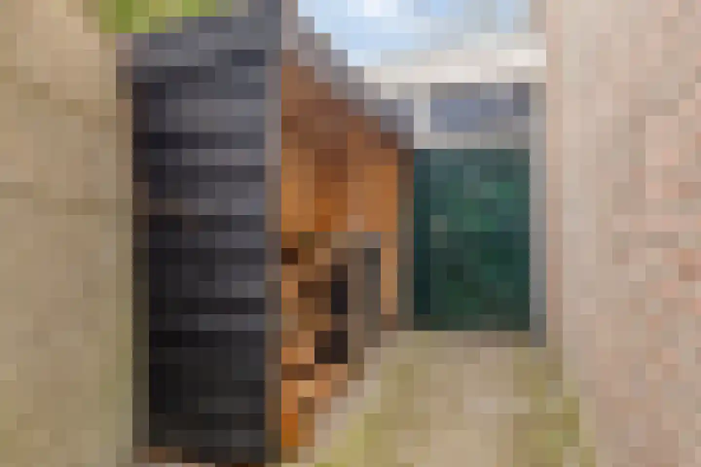 Hescheweg 103 Oss thumbnail 32