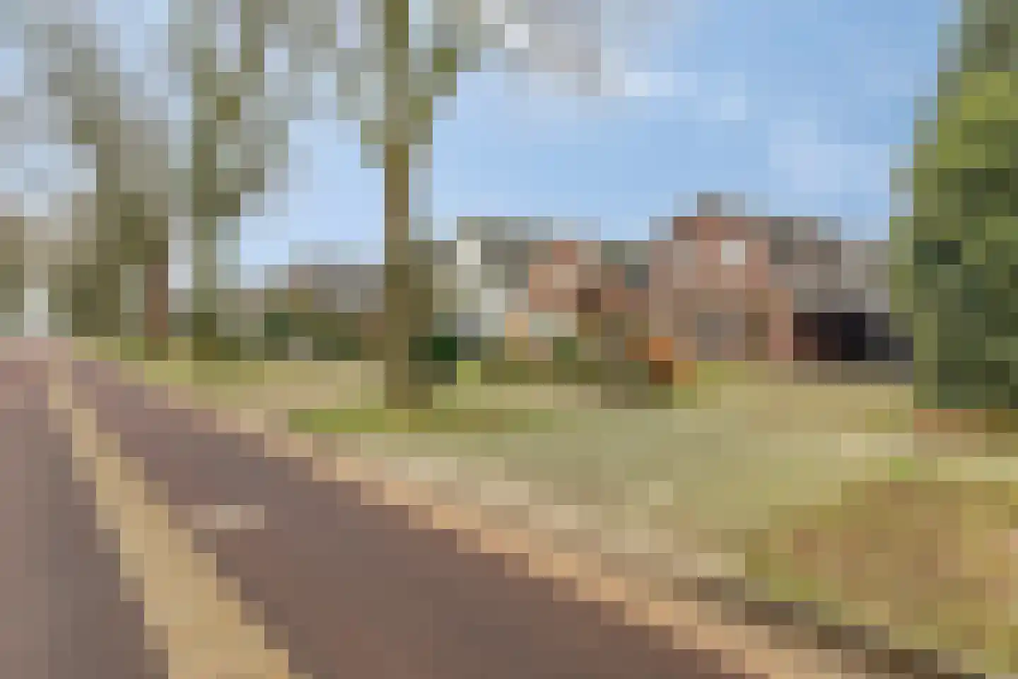 Hescheweg 103 Oss thumbnail 33
