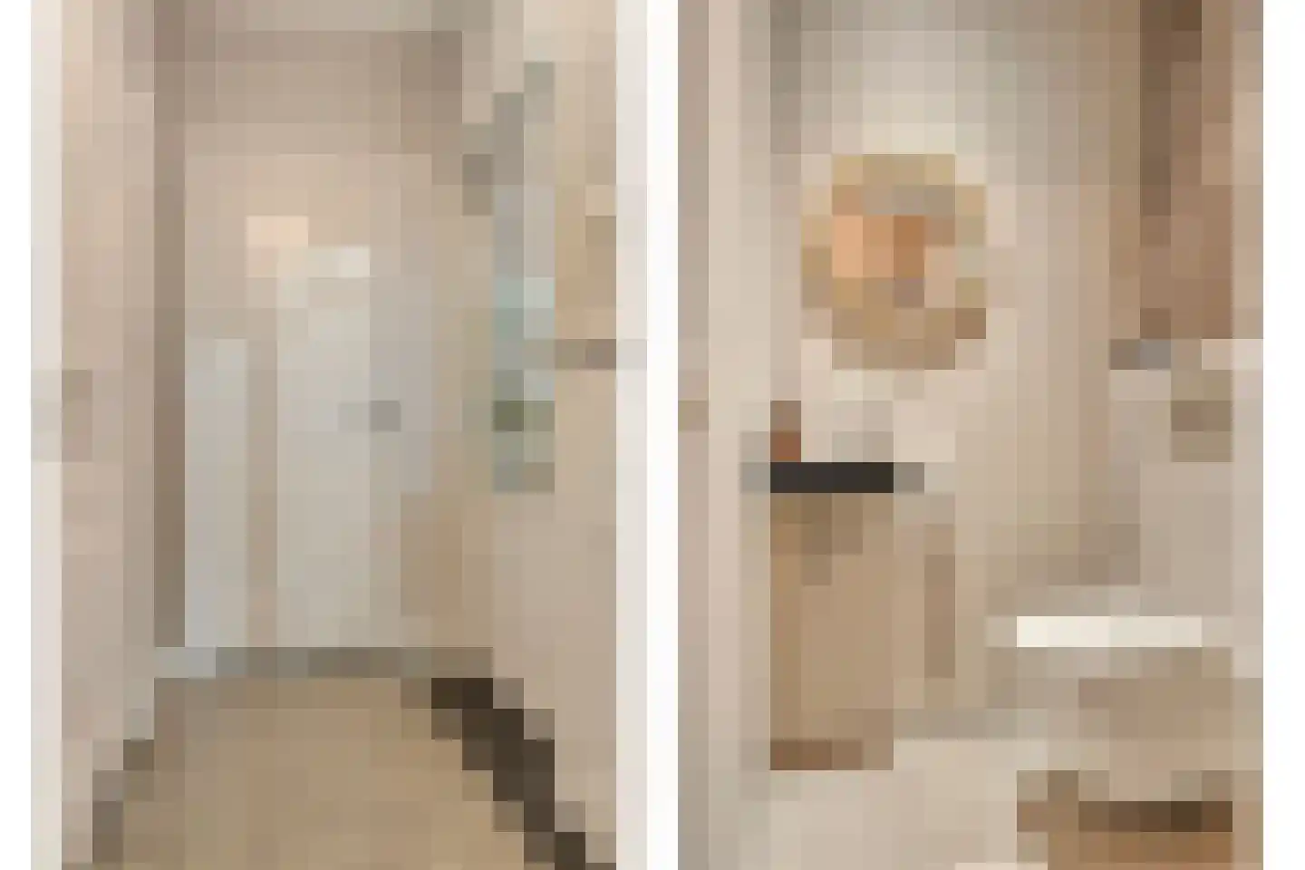 Hescheweg 103 Oss thumbnail 6