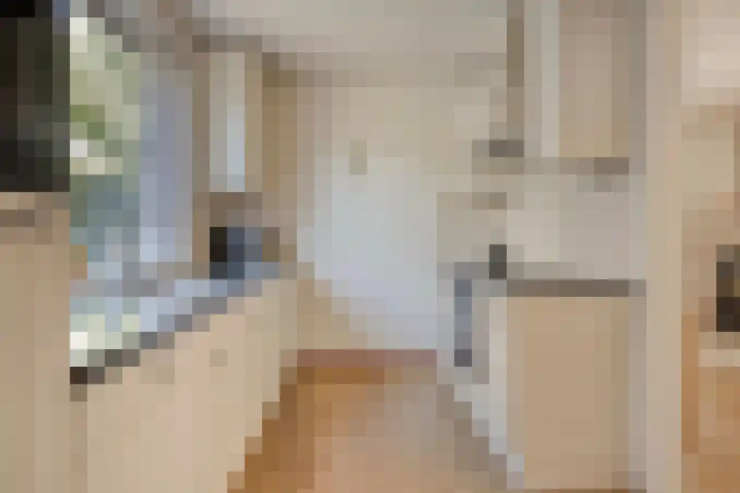 Hescheweg 185 Oss thumbnail 11
