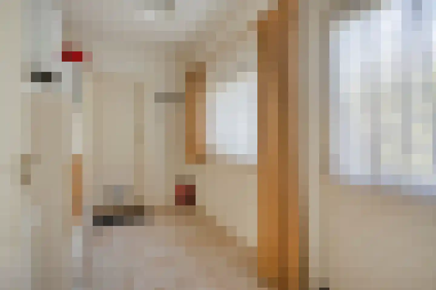 Hescheweg 185 Oss thumbnail 12