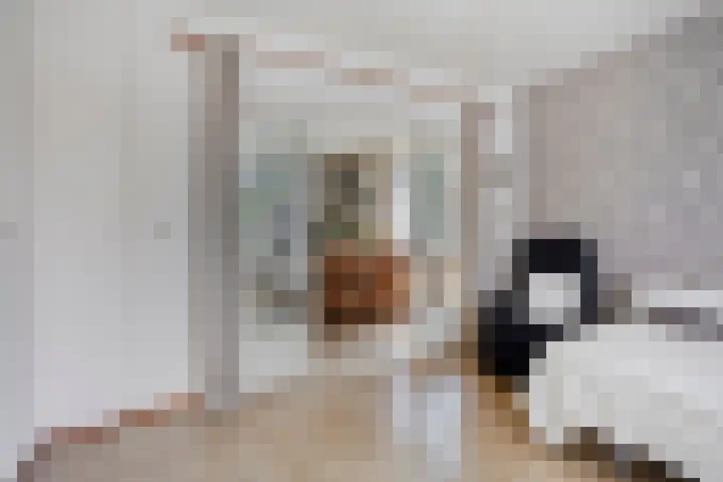 Hescheweg 185 Oss thumbnail 14