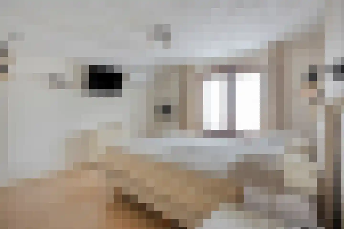 Hescheweg 185 Oss thumbnail 16