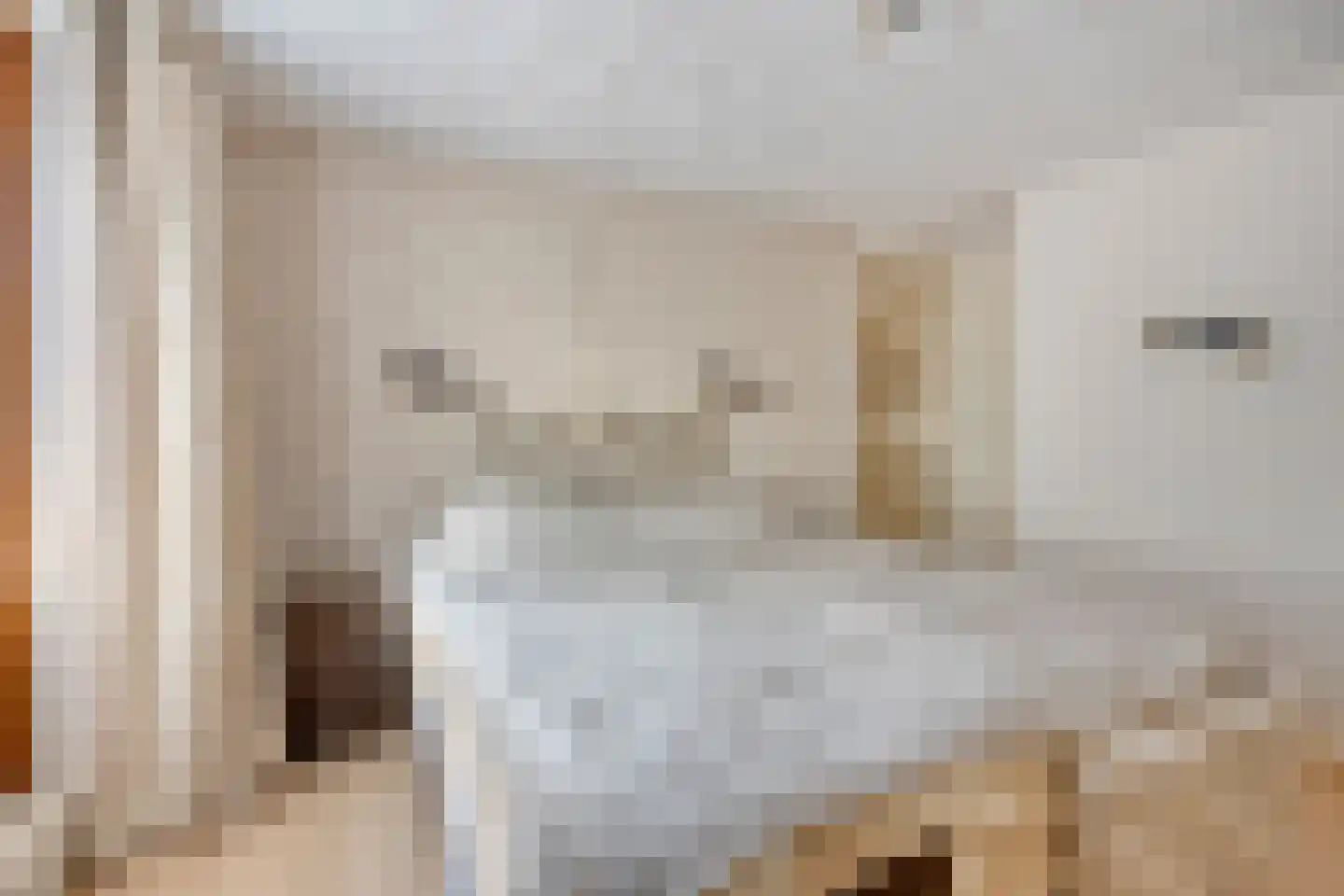 Hescheweg 185 Oss thumbnail 17