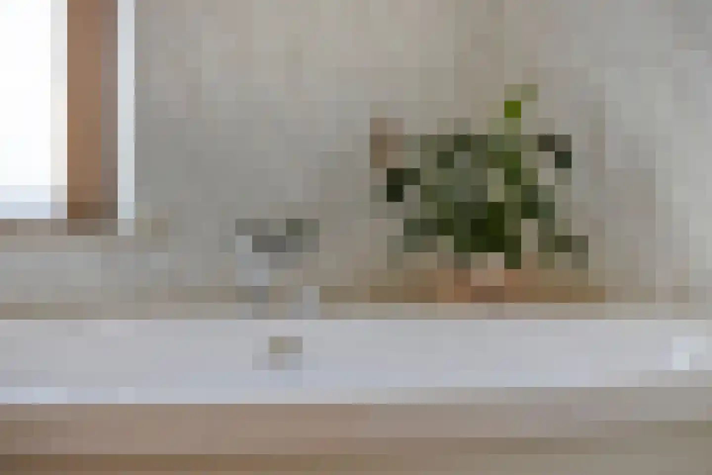 Hescheweg 185 Oss thumbnail 24