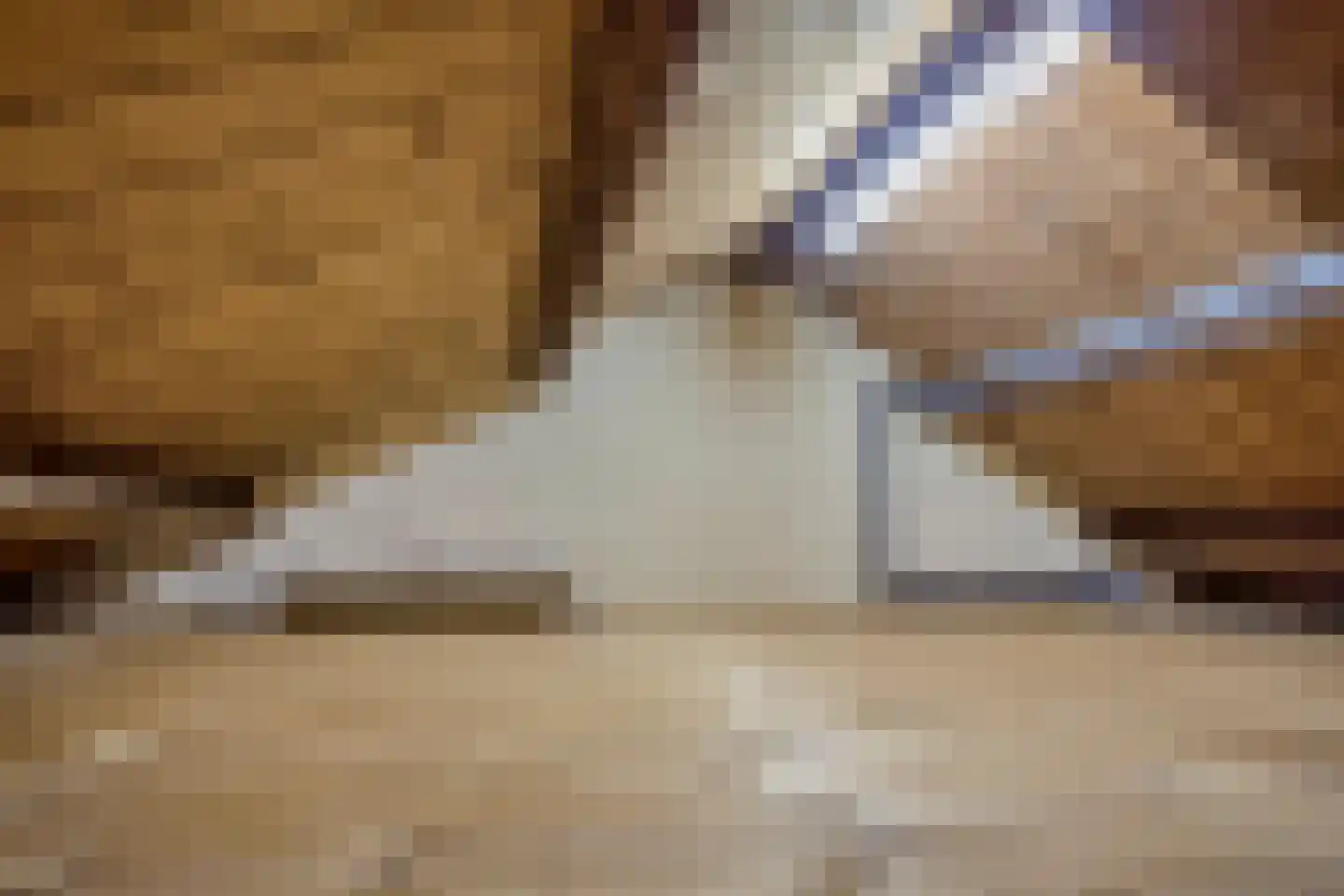 Hescheweg 185 Oss thumbnail 29