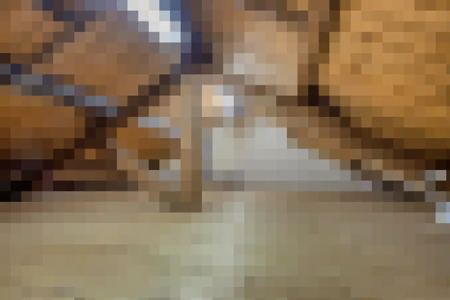 Hescheweg 185 Oss thumbnail 30