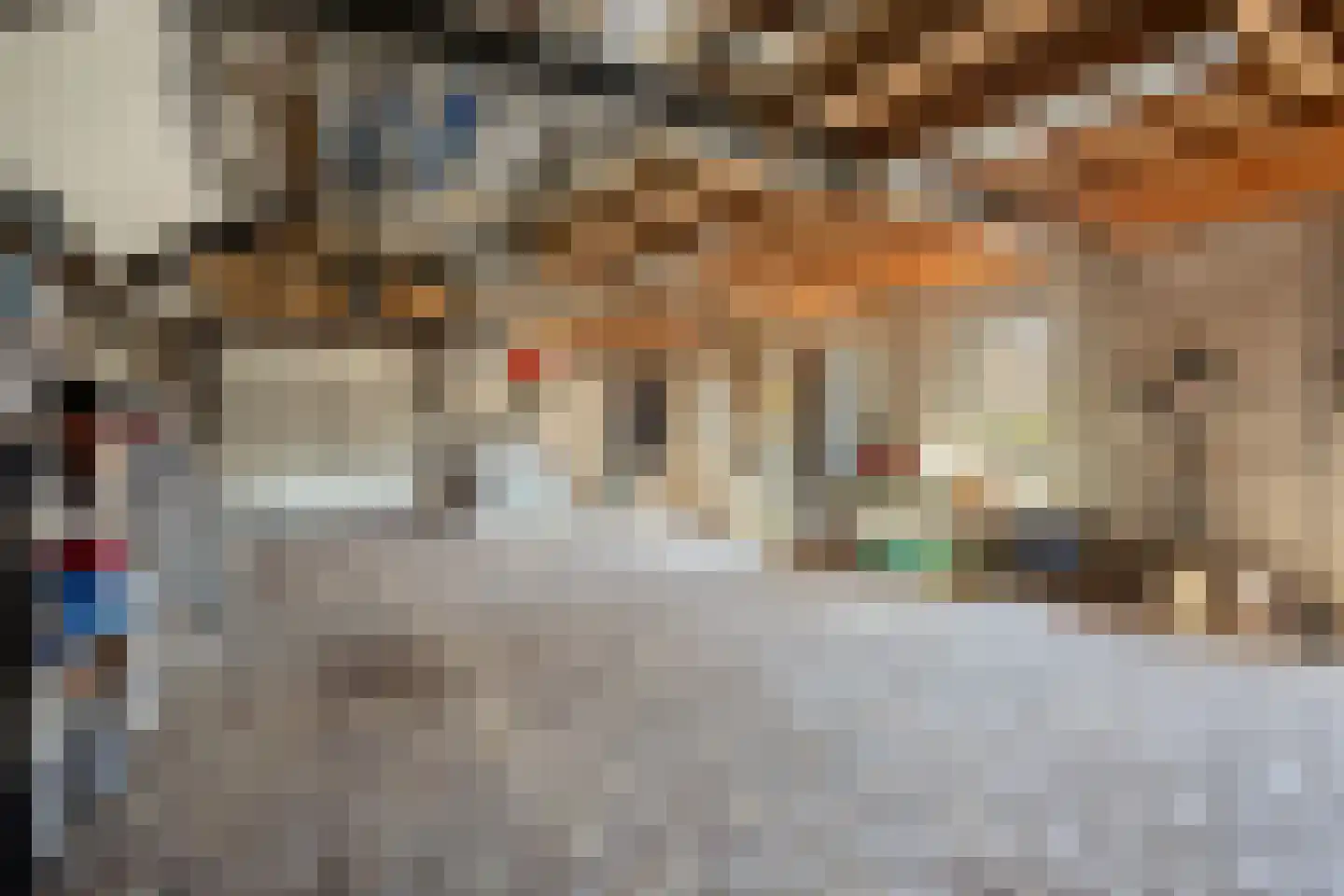 Hescheweg 185 Oss thumbnail 32