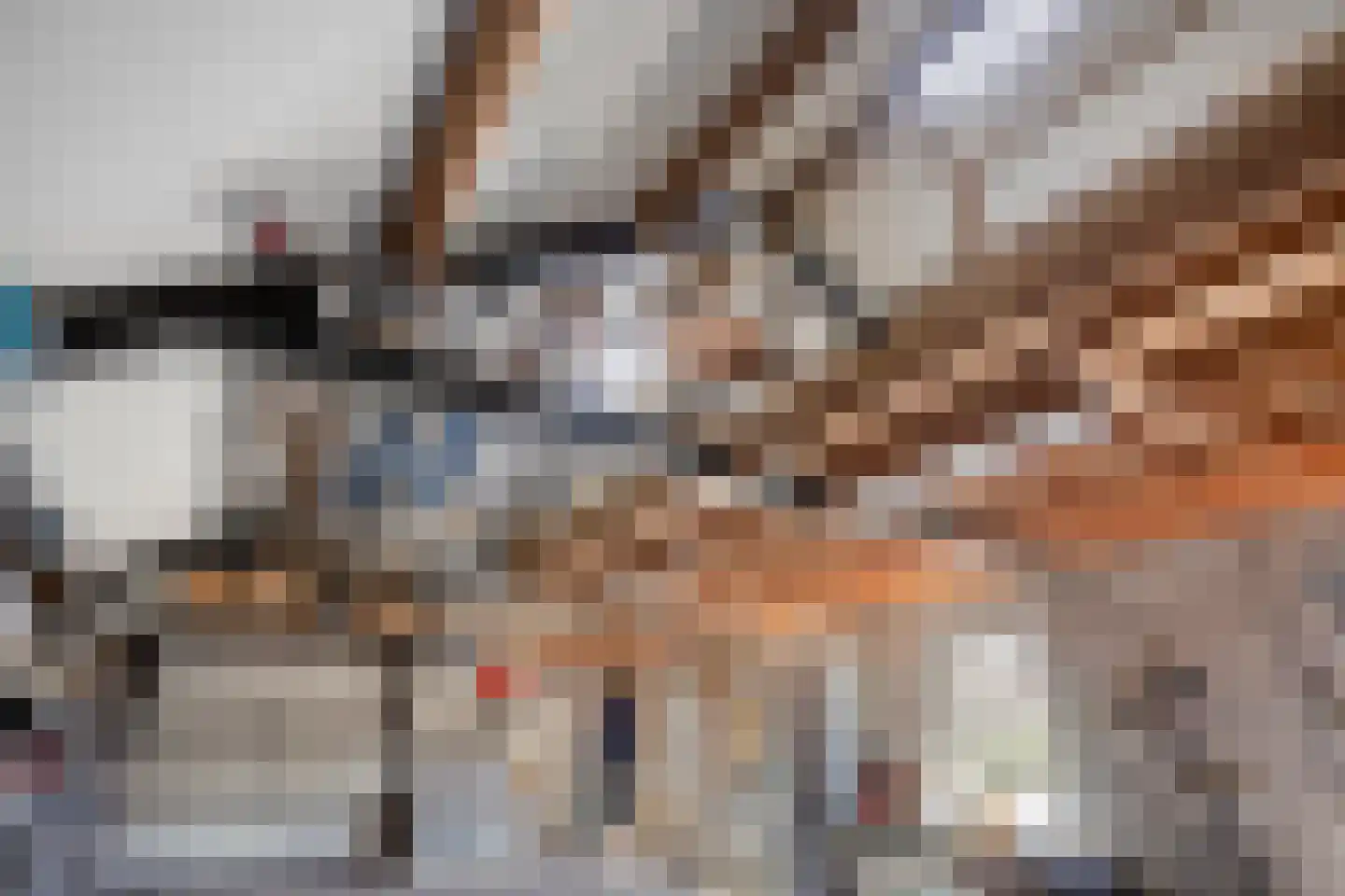 Hescheweg 185 Oss thumbnail 33