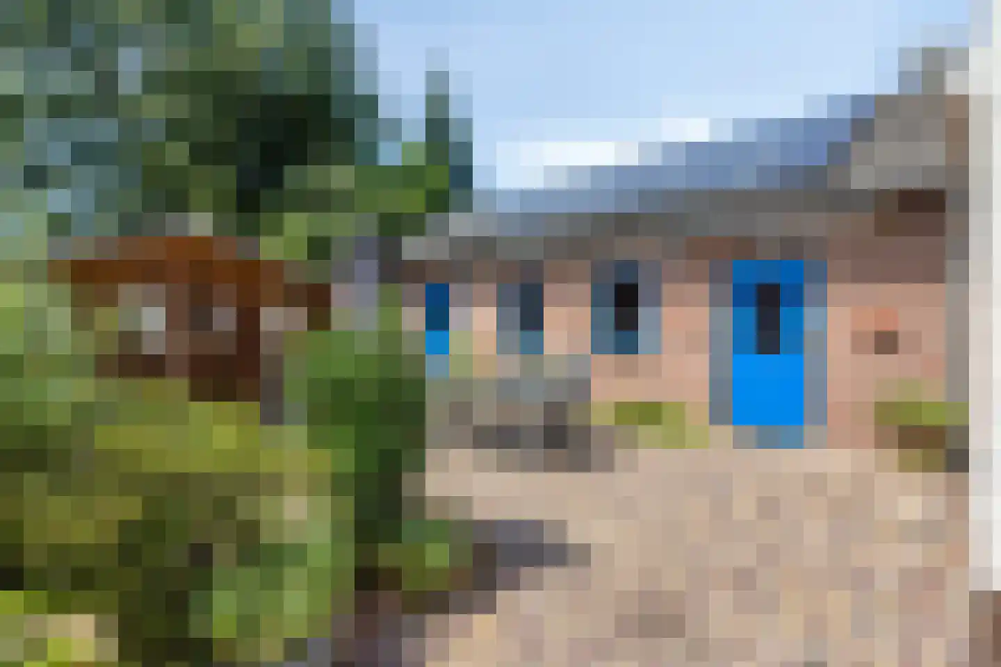 Hescheweg 185 Oss thumbnail 35