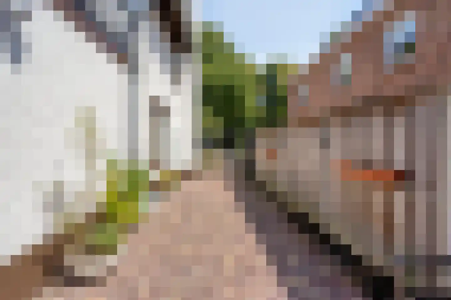 Hescheweg 185 Oss thumbnail 36