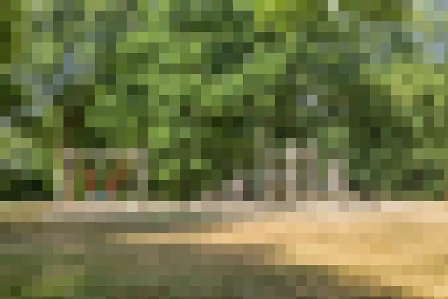 Hescheweg 185 Oss thumbnail 39