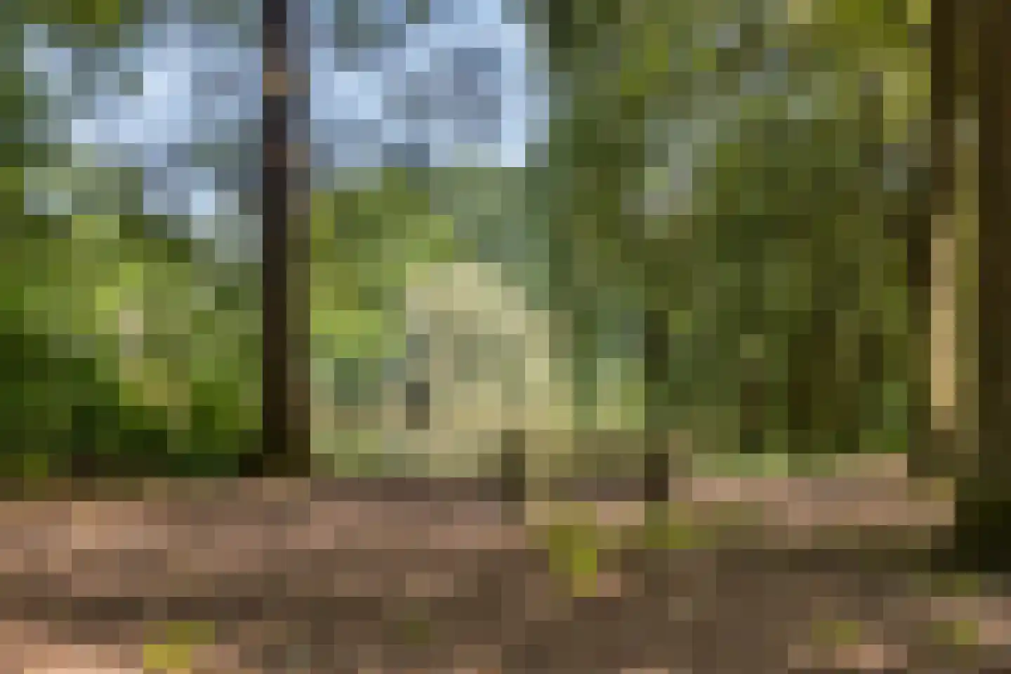 Hescheweg 185 Oss thumbnail 40