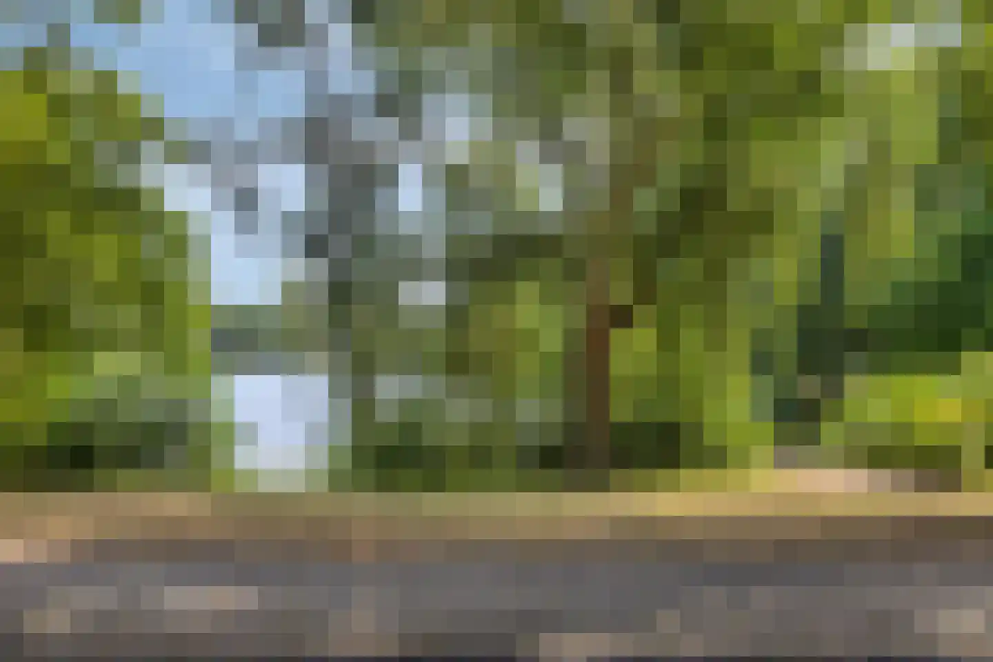 Hescheweg 185 Oss thumbnail 41