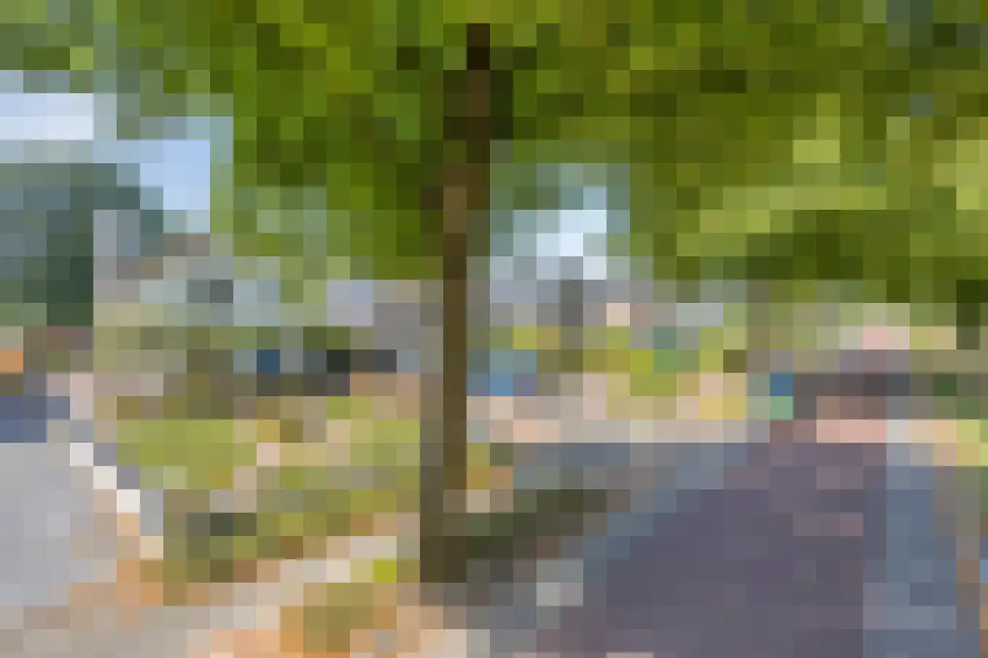 Hescheweg 185 Oss thumbnail 43