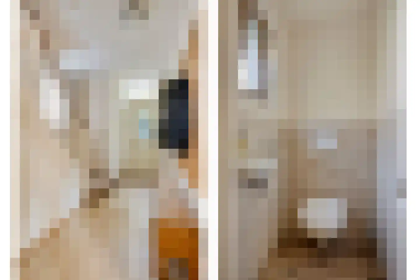 Hescheweg 185 Oss thumbnail 5