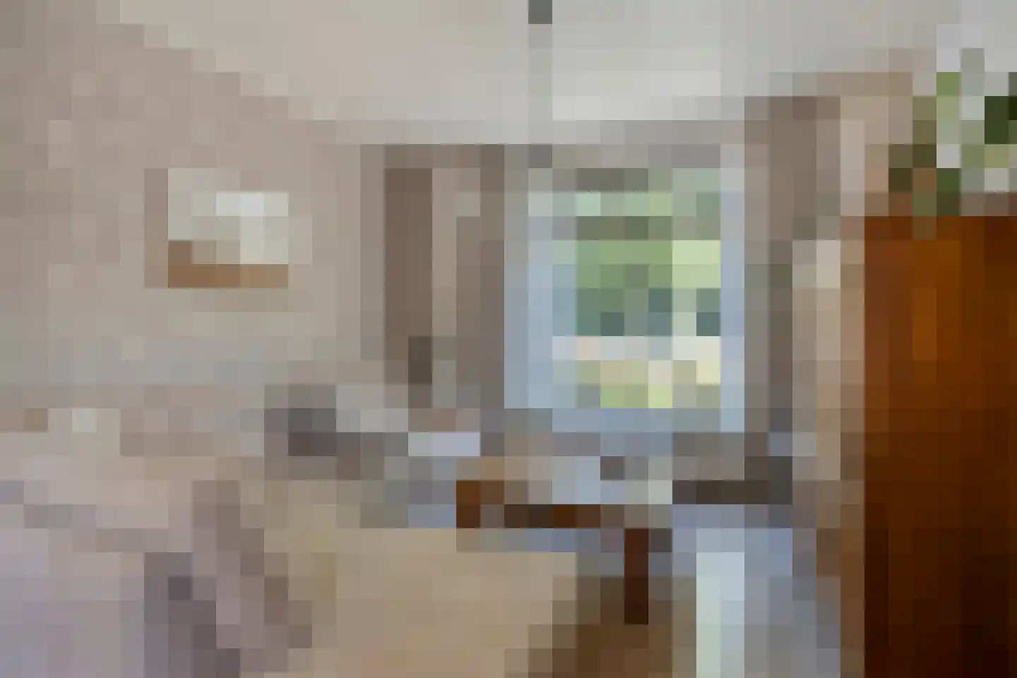 Hescheweg 185 Oss thumbnail 6