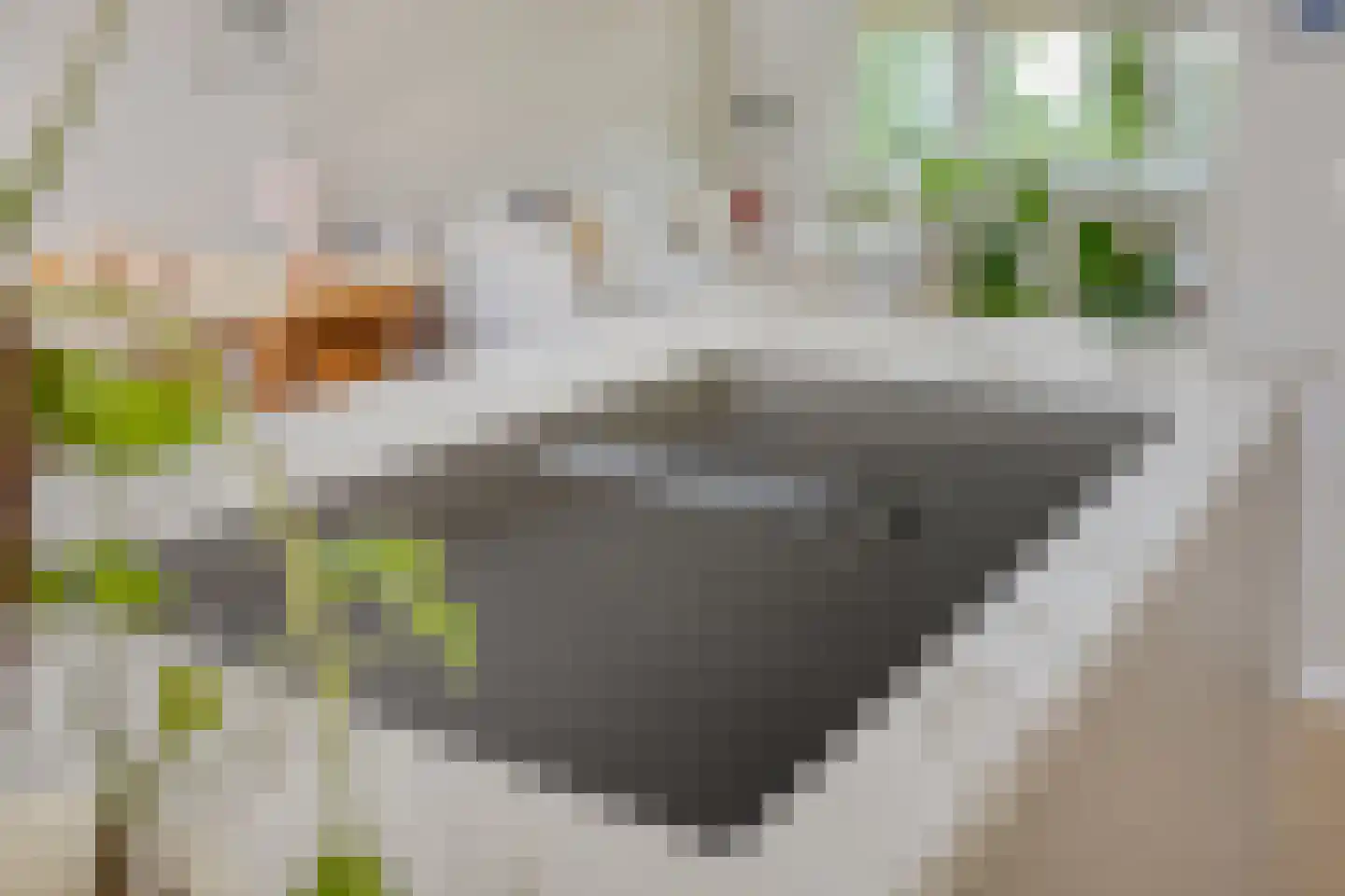 Hescheweg 74 Oss thumbnail 14