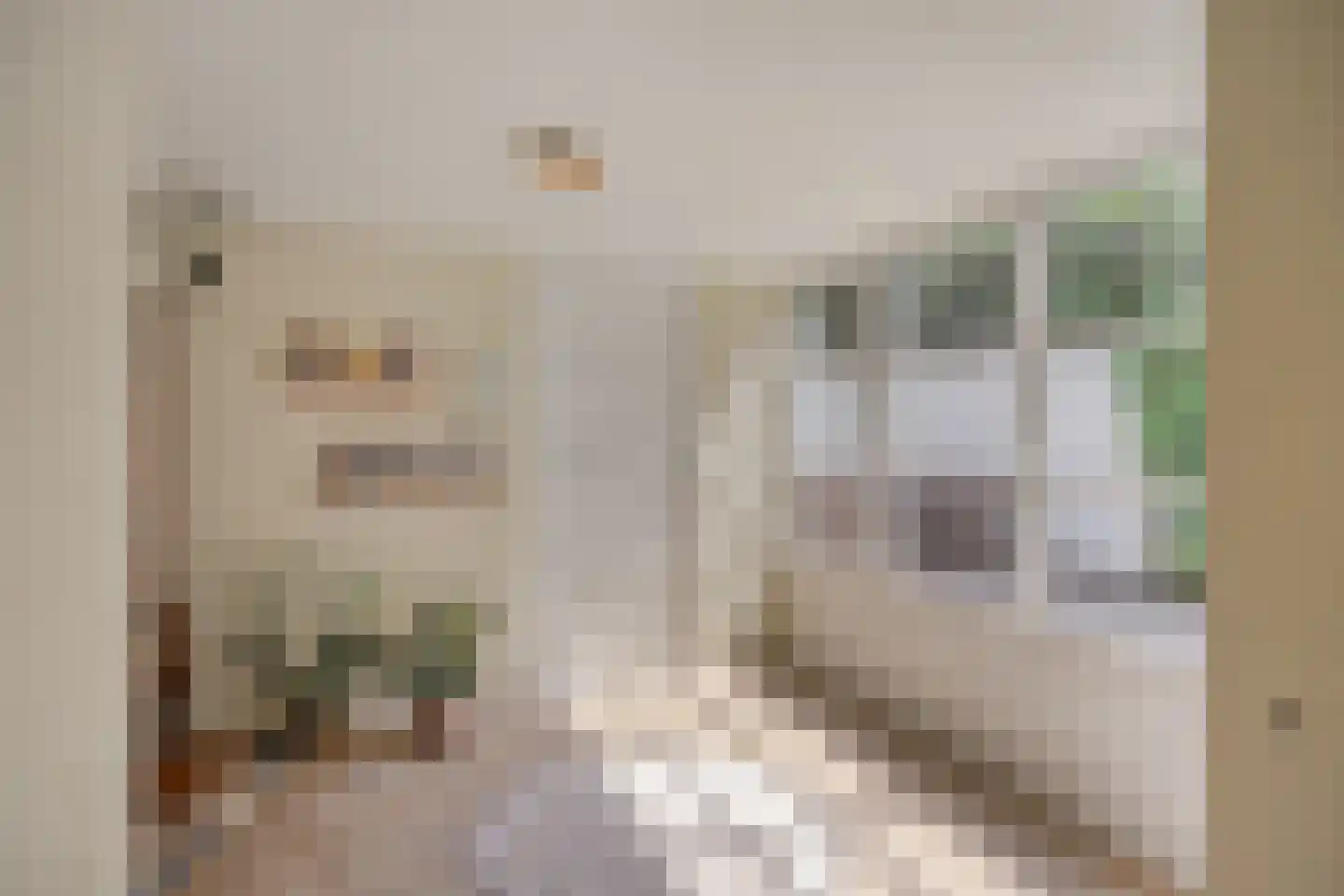 Hescheweg 74 Oss thumbnail 22