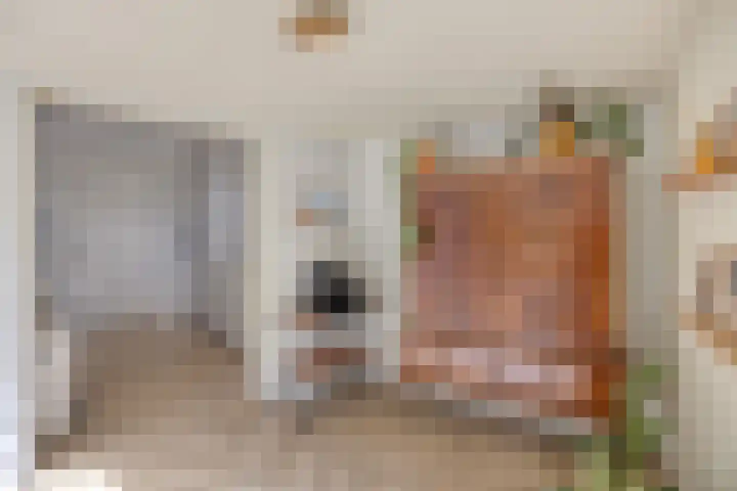 Hescheweg 74 Oss thumbnail 23