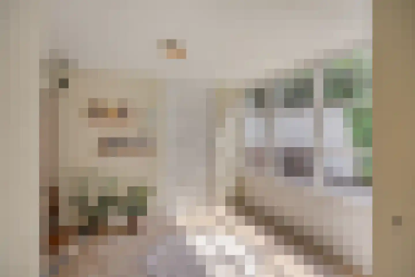 Hescheweg 74 Oss thumbnail 24