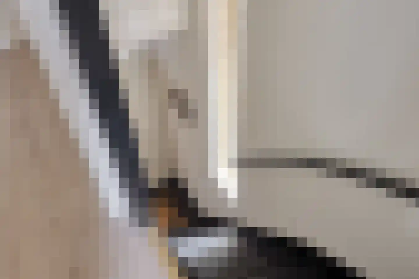 Hescheweg 74 Oss thumbnail 27