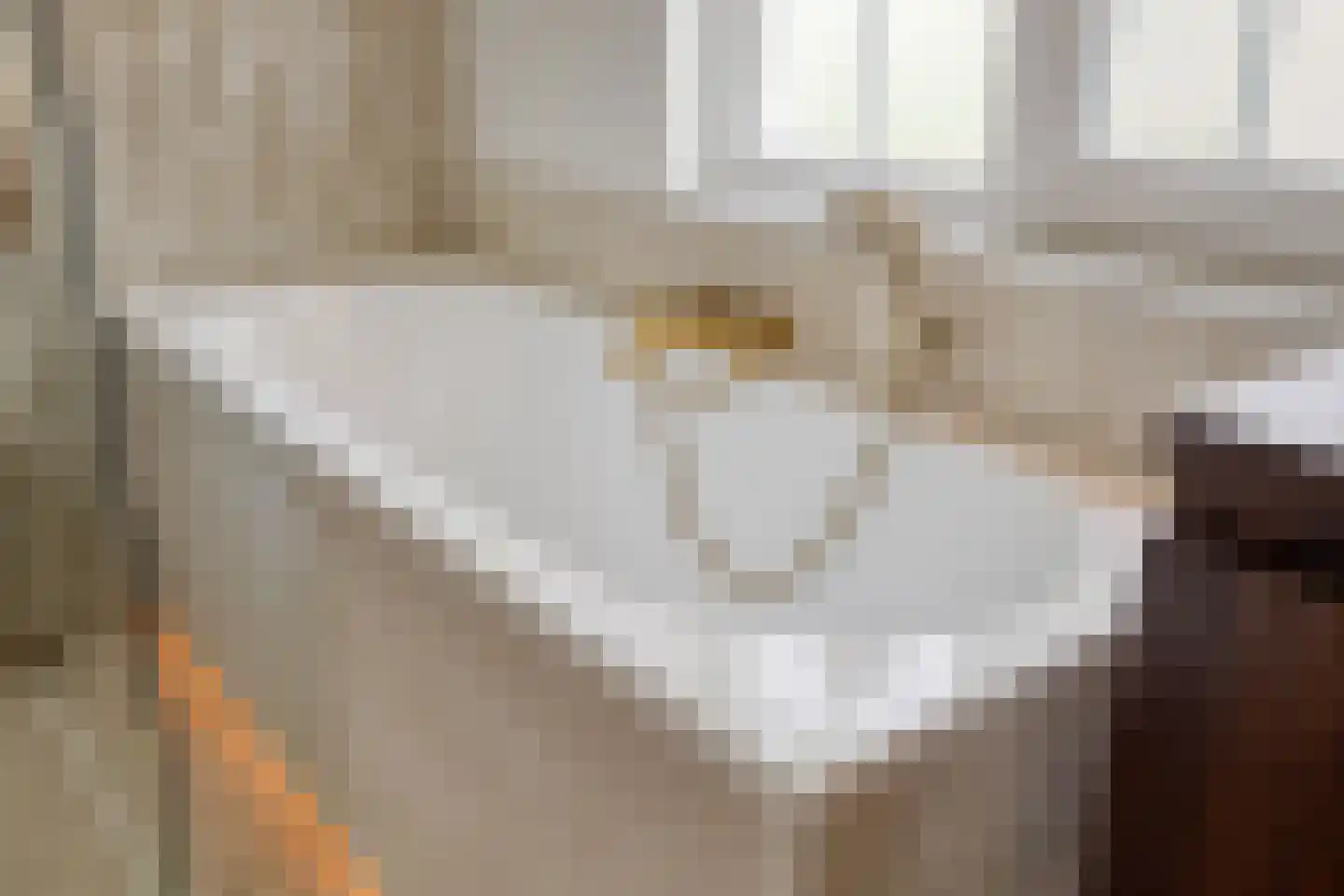 Hescheweg 74 Oss thumbnail 34