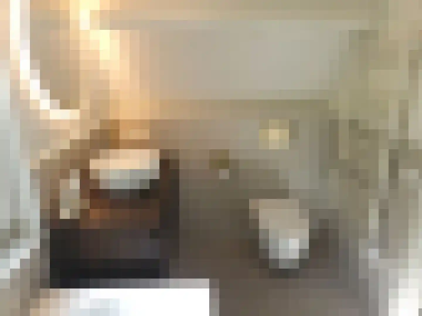 Hescheweg 74 Oss thumbnail 35