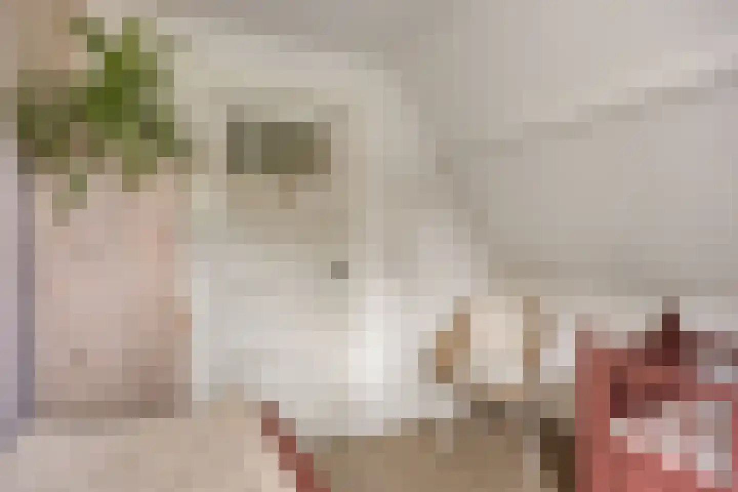 Hescheweg 74 Oss thumbnail 37