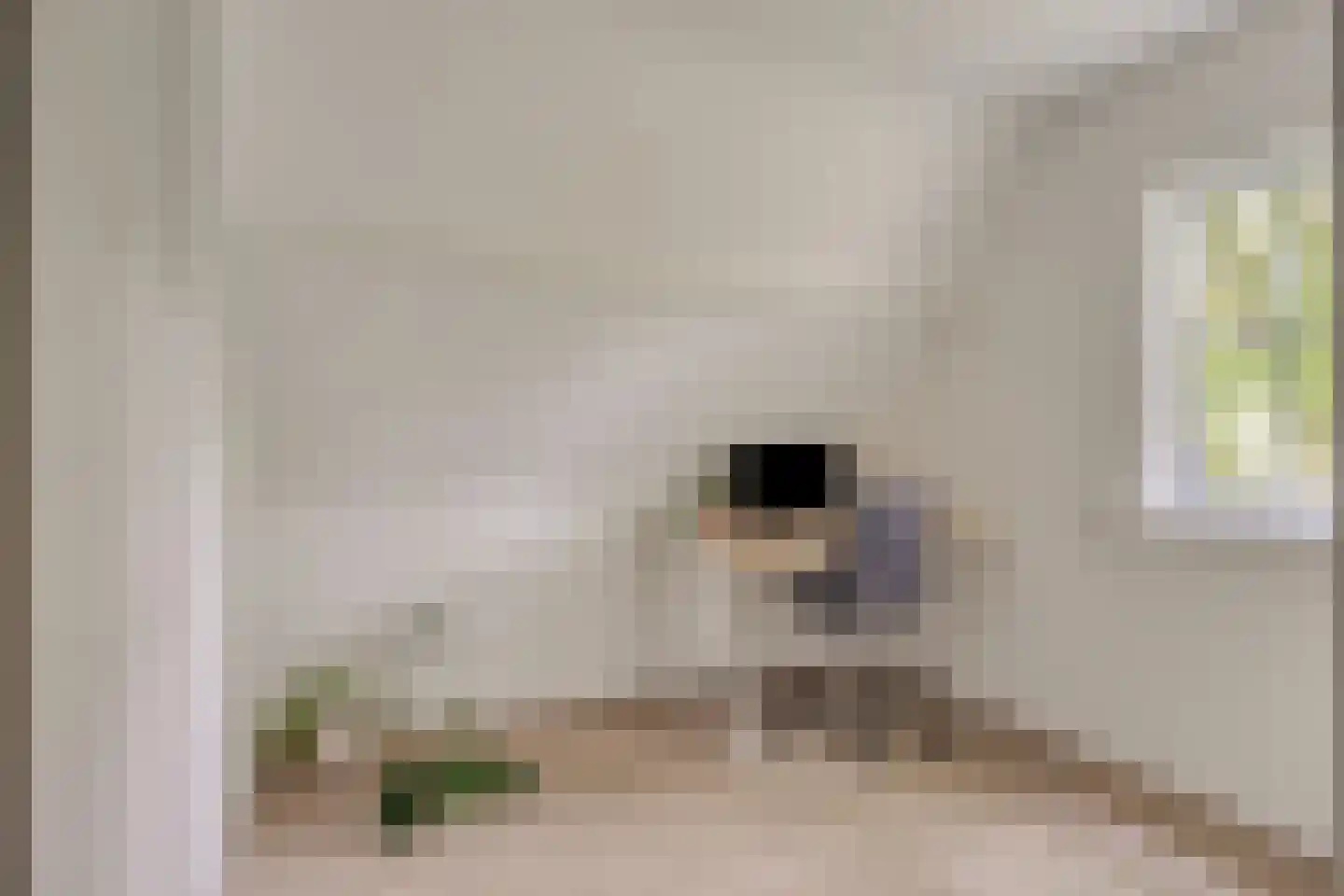Hescheweg 74 Oss thumbnail 38
