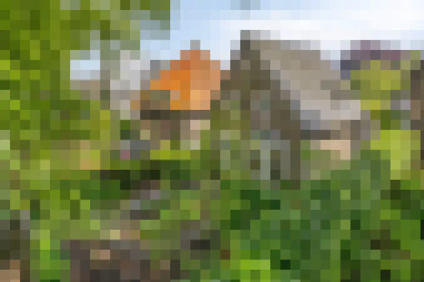 Hescheweg 74 Oss thumbnail 4