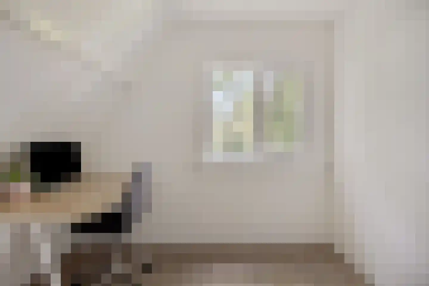 Hescheweg 74 Oss thumbnail 40