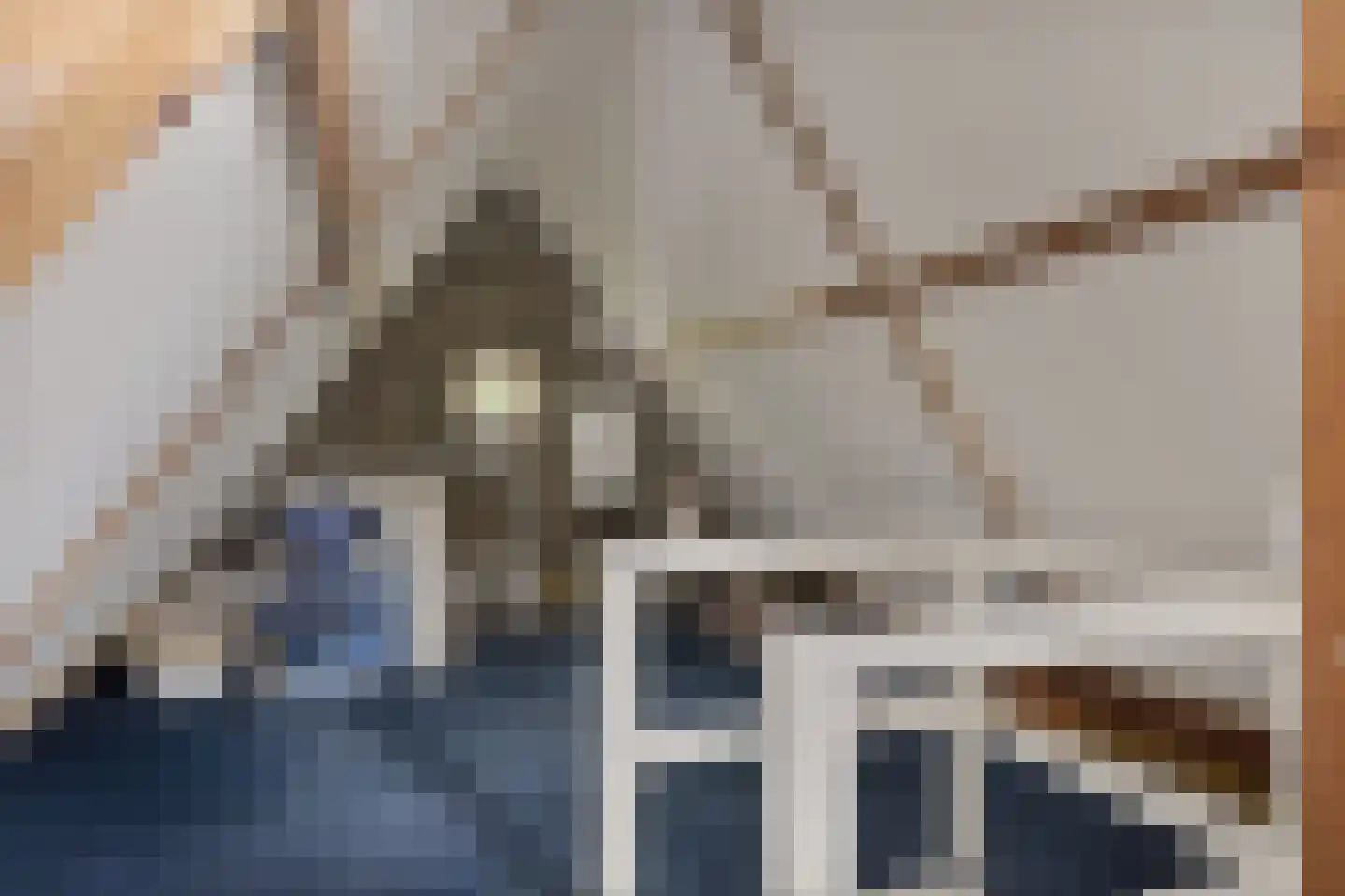 Hescheweg 74 Oss thumbnail 42