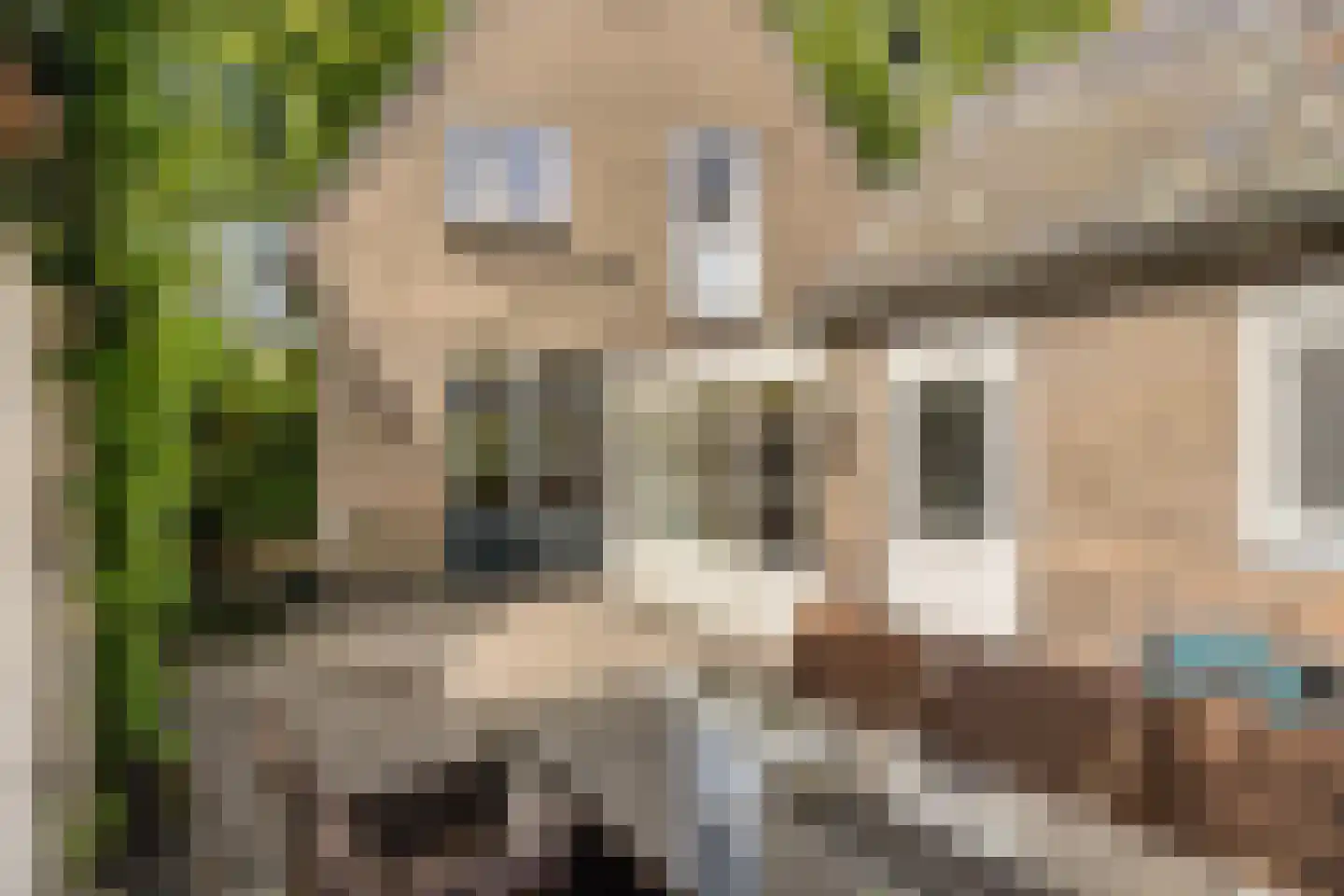Hescheweg 74 Oss thumbnail 46