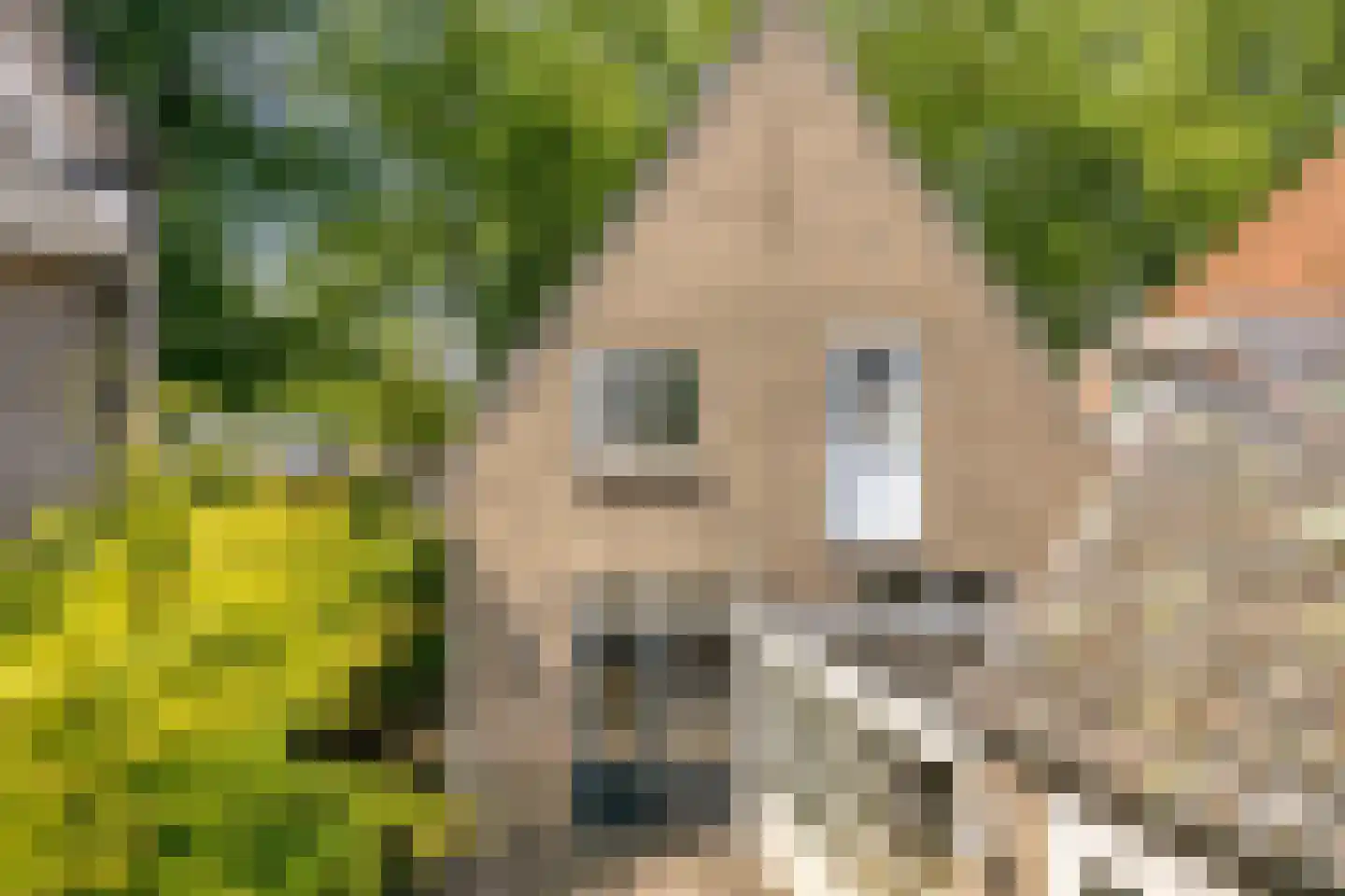 Hescheweg 74 Oss thumbnail 48
