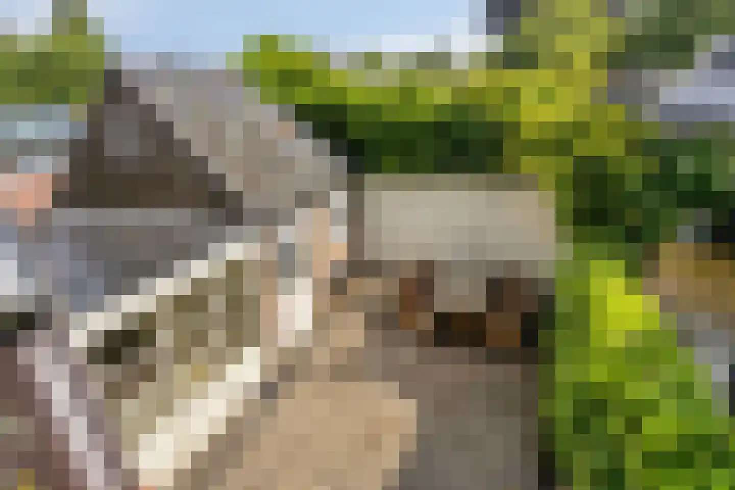 Hescheweg 74 Oss thumbnail 49