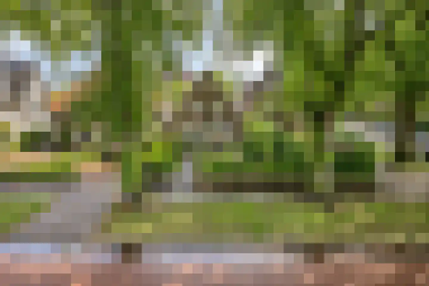 Hescheweg 74 Oss thumbnail 52