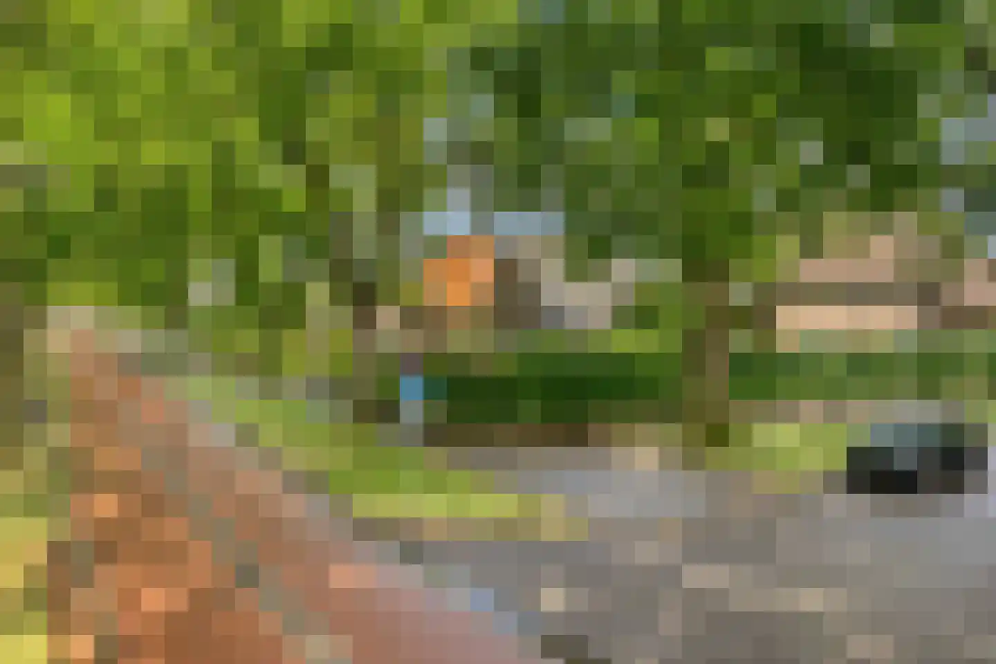 Hescheweg 74 Oss thumbnail 6