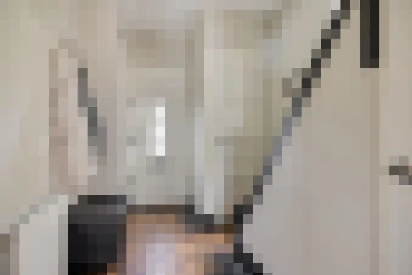 Hescheweg 74 Oss thumbnail 8