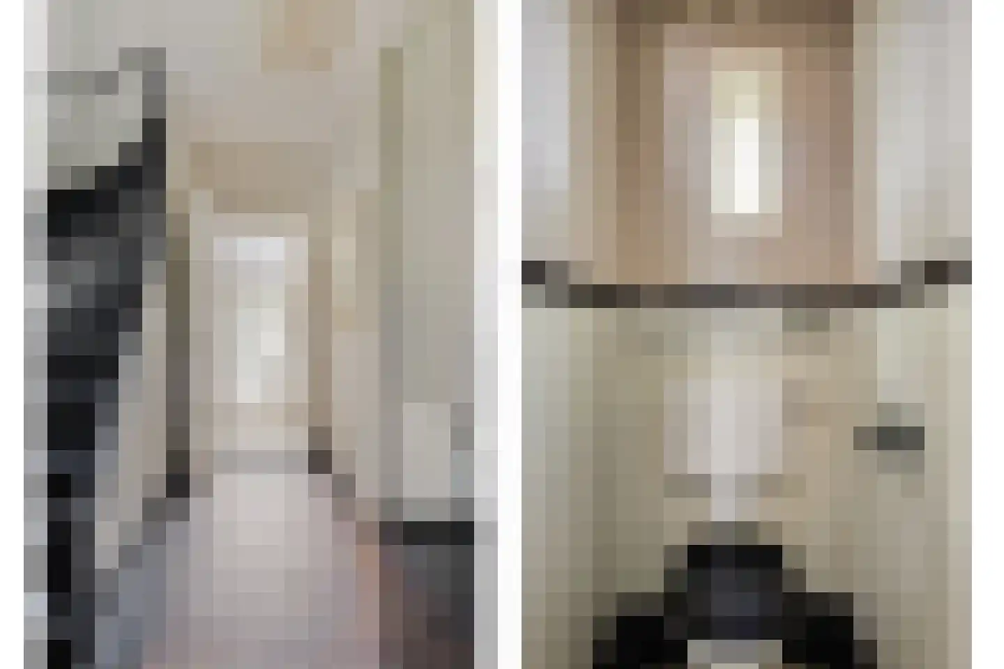 Hescheweg 74 Oss thumbnail 9