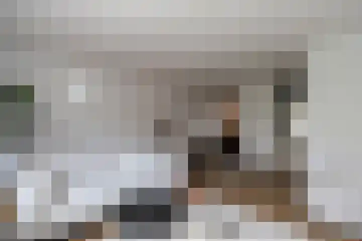 Hescheweg 95 Oss thumbnail 16