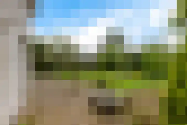 Hescheweg 95 Oss thumbnail 36