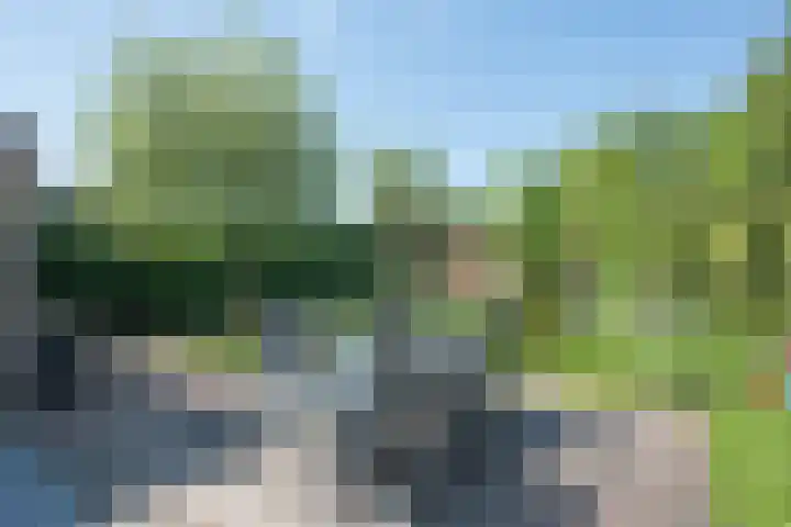 Hescheweg 95 Oss thumbnail 37