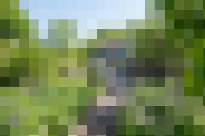 Hescheweg 95 Oss thumbnail 4