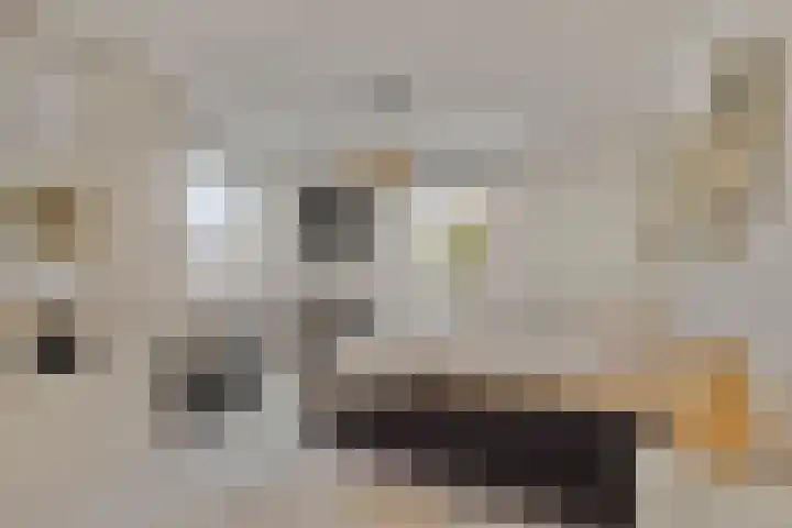 Hescheweg 95 Oss thumbnail 42