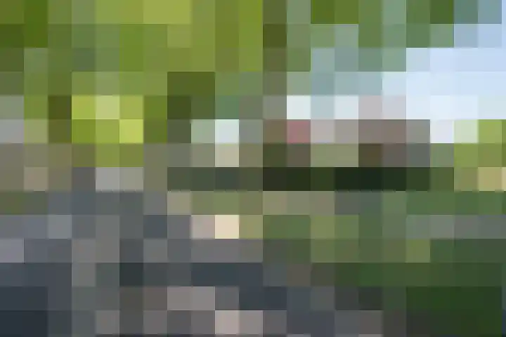 Hescheweg 95 Oss thumbnail 52