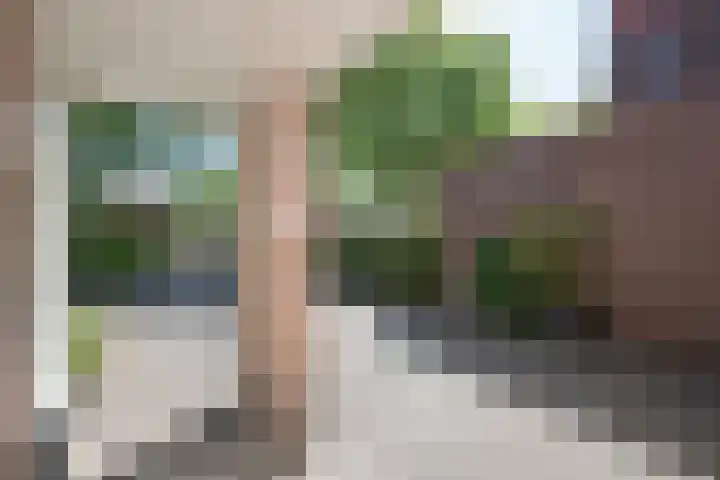 Hescheweg 95 Oss thumbnail 7