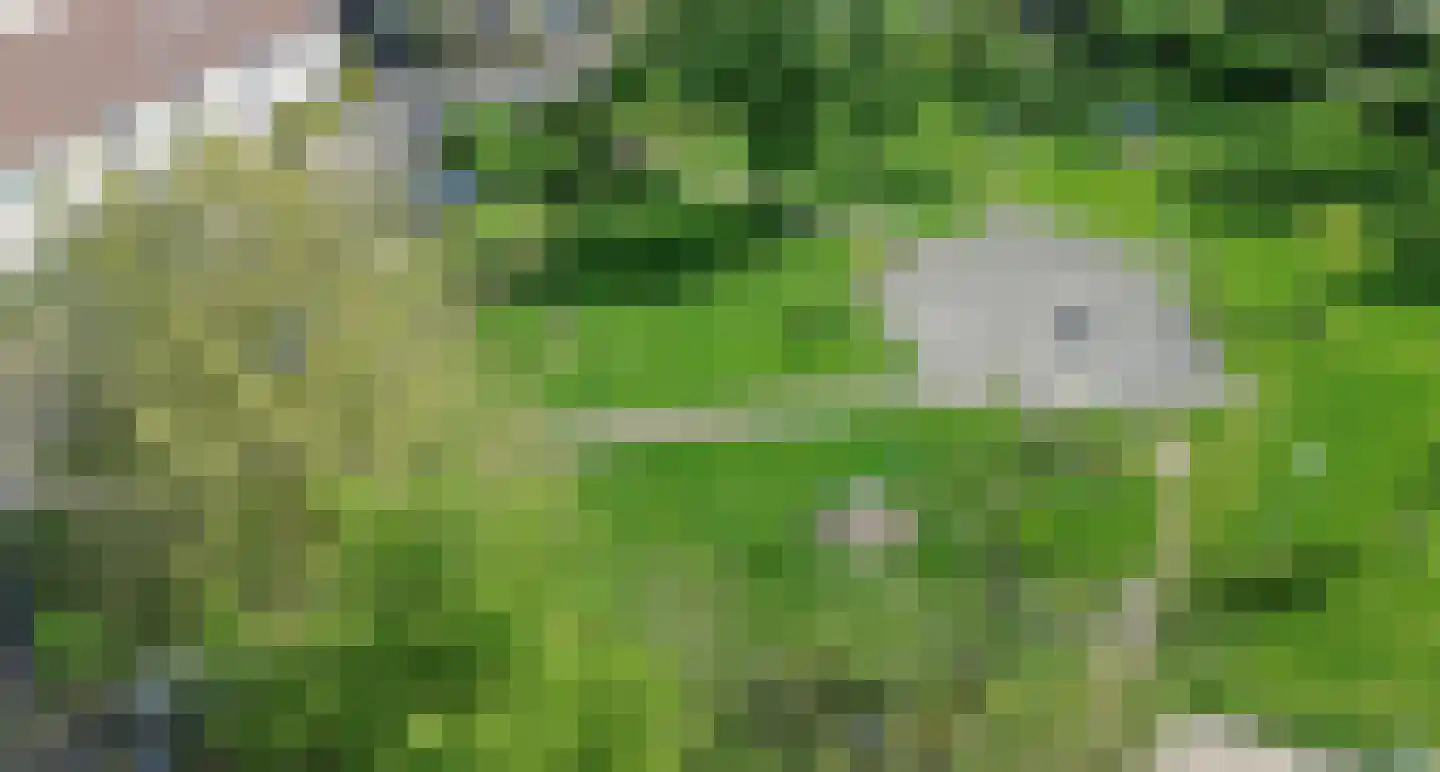 Heselaan 88 Nijmegen thumbnail 36